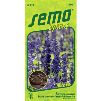 Šalvěj hispánská - chia semena 0,50g