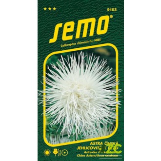 Astra čínská - jehlicovitá Electric bílá 0,5g (ZÁRUKA 2024)