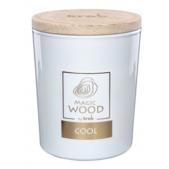 Svíčka sklo - MAGIC WOOD 300 g - Cool