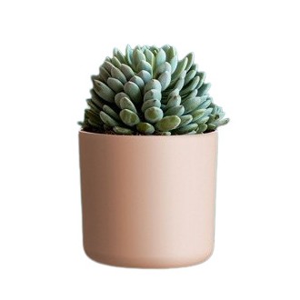 Obal Lora - bledě růžová 14 cm