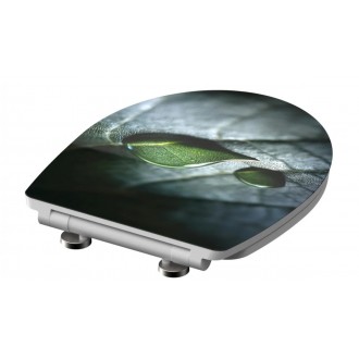 Schütte RAINDROP | Duroplast HG, Soft Close