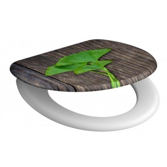 Schütte GINGKOundWOOD | Duroplast, Soft Close