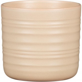Obal 850 Dry reed 20