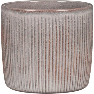 Obal 909 Seashell 13
