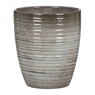 Obal orchidejový 669 Wild Ice 14