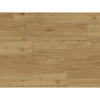 Experto Click SPC 50 6110-71 Dub Ravello