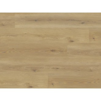 EXPERTO LVT 55 Dub Calle 8196L-001