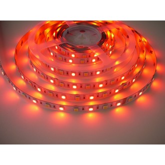 T-led - 24V RGB+WW 14,4W vnitřní LED pásek záruka 3 roky Varianta: 24V RGB+WW 14,4W vnitřní LED pásek záruka 3 roky