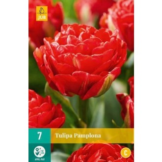 Karta - Tulipán - Pamplona (7 cibulí) "C"