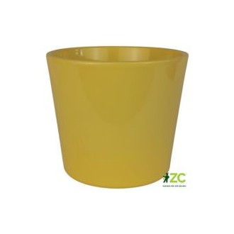 Obal 811 primule Zitro glanz 13 cm