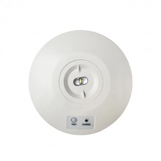 NEDES - LED nouzové svítidlo 2W / 3h / IP65 - LEL601