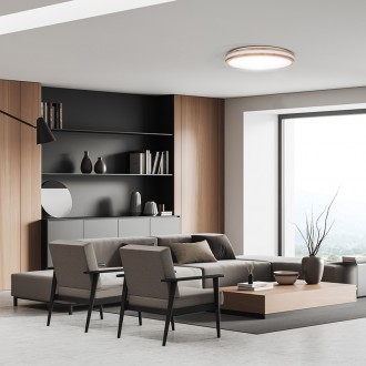 Solight LED osvětlení s dálkovým ovladačem Woody, 48W, 3360lm, 38cm, změna chromatičnosti, stmívatelné