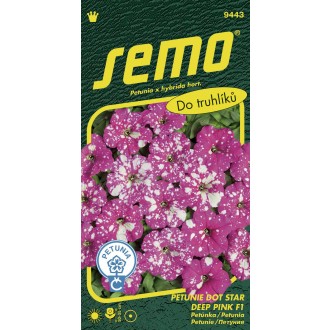 Petunie mnohokvětá - Dot Star Deep Pink F1 40p