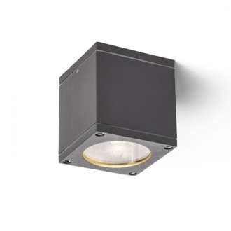 Rendl - RODGE stropní bílá 230V GU10 35W IP54 Barva: Šedá
