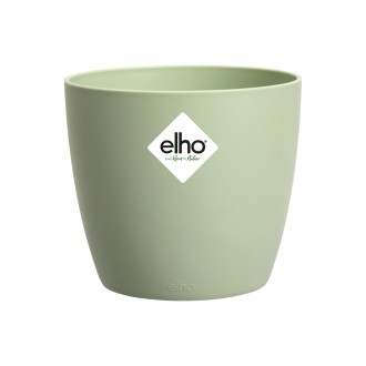 Obal Brussels Classic - sorbet green 9,5 cm