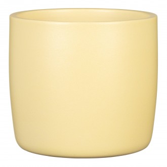 Obal 900 Gentle Yellow 13 /JARO 2025/