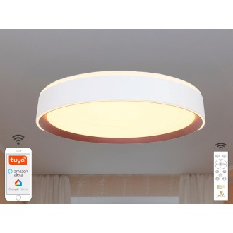 NEDES - LED svítidlo OPAL + dálkový ovladač + Wifi 48W - LC902M