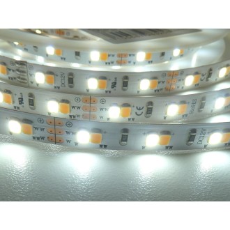 T-led - LED pásek CCT CCT18W12V záruka 3 roky Varianta: LED pásek CCT CCT18W12V záruka 3 roky