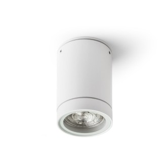 Rendl - SAMMY stropní bílá 230V LED GU10 15W IP54 Barva: Šedá