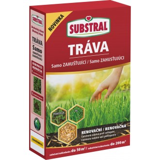 Travní směs samozahušťující - Renovační 1 kg EVERGREEN