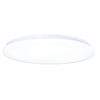 NEDES - LED svítidlo OPAL + dálkový ovladač 60W - LCL536S