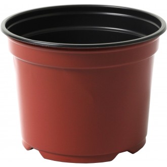 Kontejner Desch 10 cm - terakota 10 ks