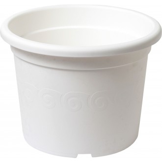 Obal Narcis - bílý 19 cm