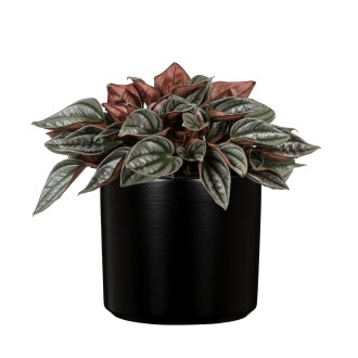 Obal 631 Night Black lesk 16