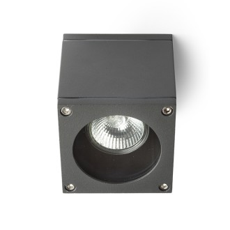Rendl - RODGE stropní bílá 230V GU10 35W IP54 Barva: Šedá