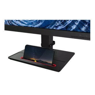 Lenovo ThinkVision T24i-2L