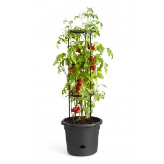 Obal Green Basics Tomato Pot - living black 33 cm