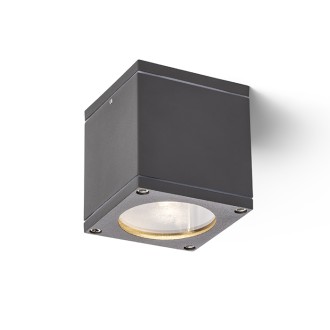 Rendl - RODGE stropní bílá 230V GU10 35W IP54 Barva: Šedá
