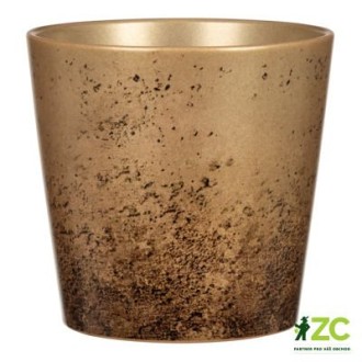 Obal 778 Antique Gold 14