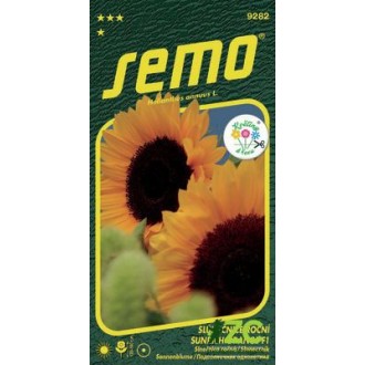 Slunečnice roční - Sunrich Orange F1 15s - série KVĚTINY K ŘEZU