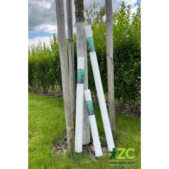 Ochrana na stromky samosvorná - 6x110 cm bílá (3ks)