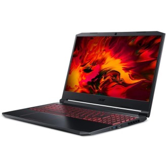 Acer Nitro 5 (AN515-55)