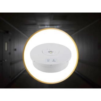 NEDES - LED nouzové svítidlo 2W / 3h / IP65 - LEL601