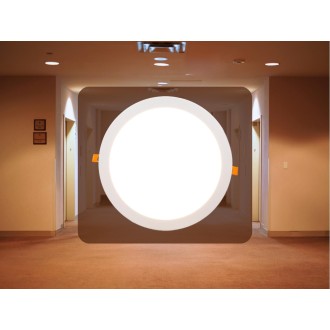 NEDES - LED panel 24W / PR / SMD / 2800K / WH - LPL115