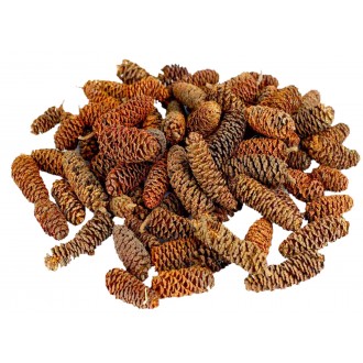 Dekorace - Birch pine min. 30 g