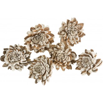 Dekorace - Sola Multi Zinnia 4 cm - 6 ks
