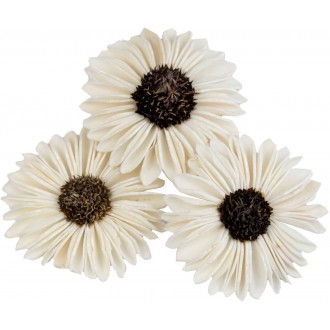 Dekorace - Sola Splite Sunflower 6 cm - 3 ks