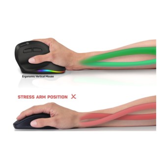 Connect IT For Health Cloudy bezdrátová vertikální myš - černá