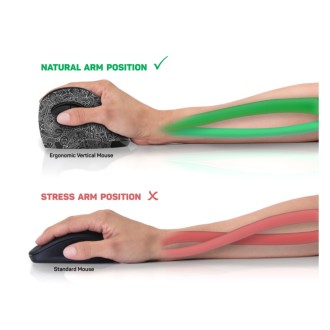 Connect IT For Health Doodle ergonomická vertikální bezdrátová myš (+1x AA baterie) - černá