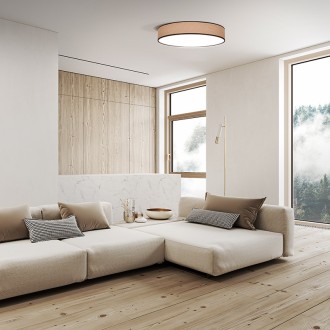 Solight LED osvětlení s dálkovým ovladačem Brownie, 60W, 4200lm, 50cm, změna chromatičnosti, stmívatelné