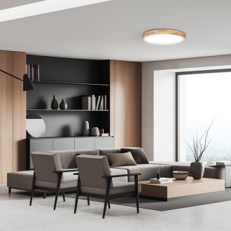 Solight LED osvětlení s dálkovým ovladačem Solid Oak, 60W, 4200lm, 51cm, změna chromatičnosti, stmívatelné