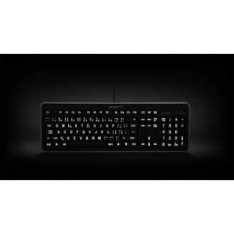 Connect IT LED bíle podsvícená klávesnice s velkým fontem, USB - černá