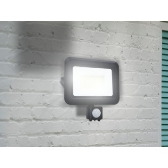 NEDES - LED reflektor + PIR 30W / 4000K - LF0023S