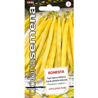 Dobrá semena Fazol keříčkový - Sonesta 10g