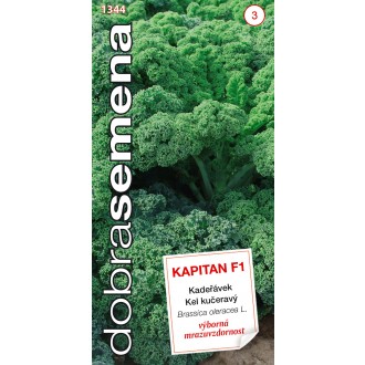 Dobrá semena Kadeřávek - Kapitan F1 30s
