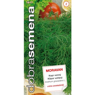 Dobrá semena Kopr vonný - Moravan 3g